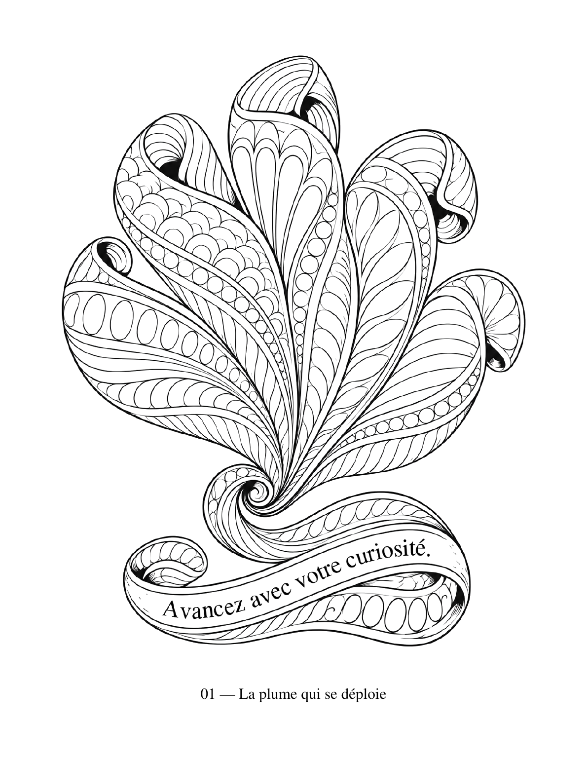 Détail de la couverture